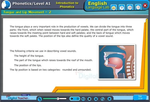 English lab practical activity on tongue and lip movements with vowel sounds